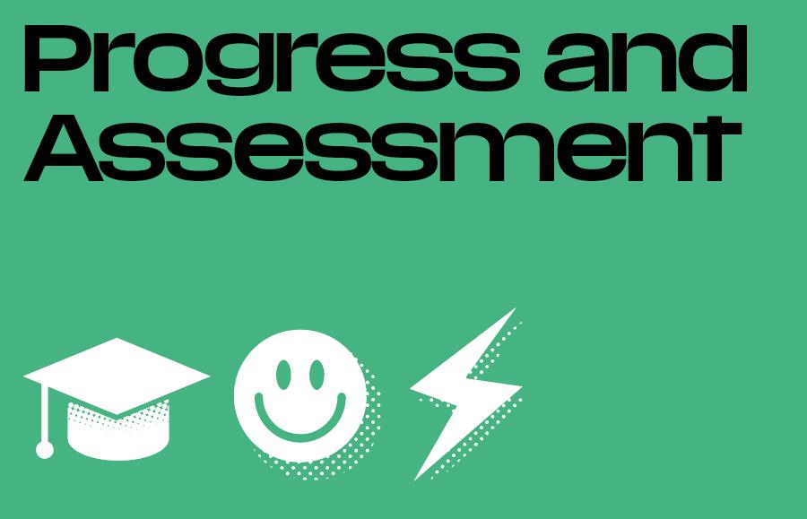 Progress and Assessment icon