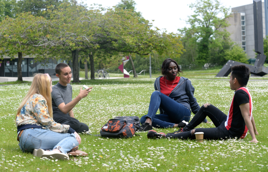 Students sitting on UCD lawn