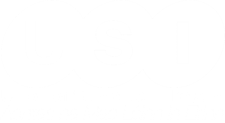 Union of Students Ireland logo